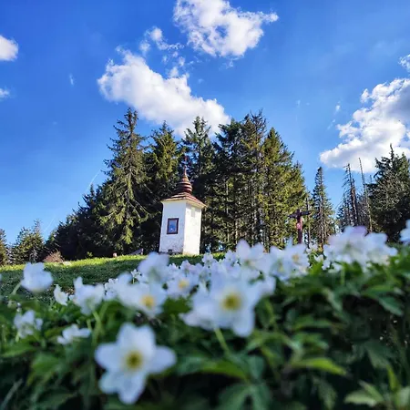 Stara Plebania Feriegård *